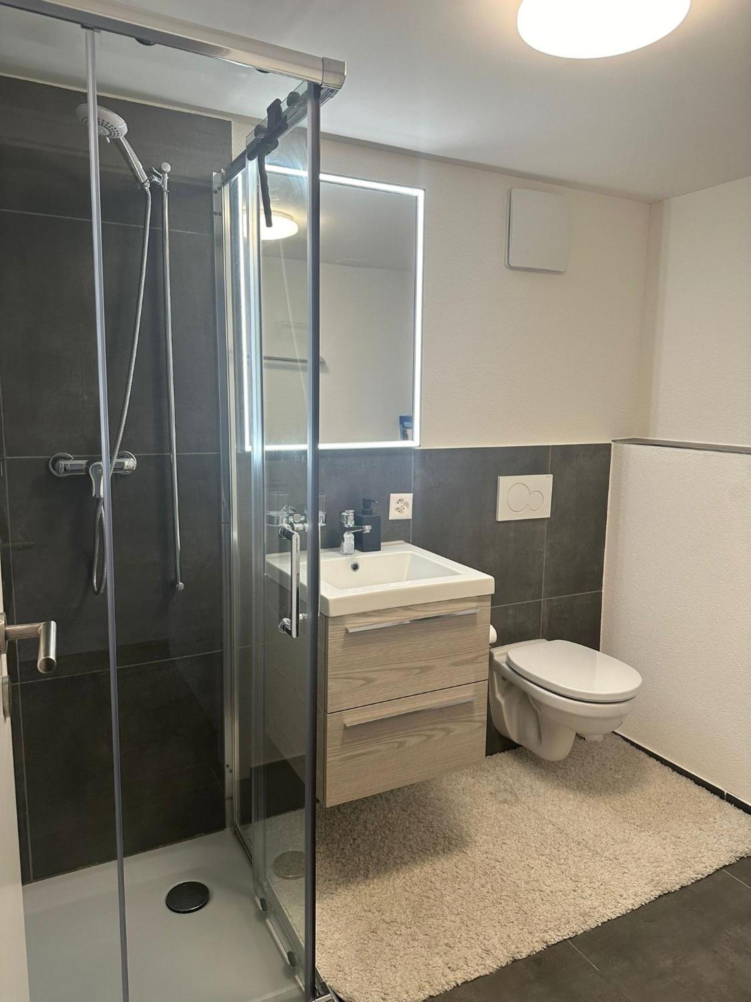 Stilvolle 2,5 Zimmer Wohnung St. Gallen Exterior foto